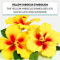 Global Sugar Art Hibiscus Sugar Cake Flowers, Yellow with Red, 3 Count with Leaves by Chef Alan Tetreault