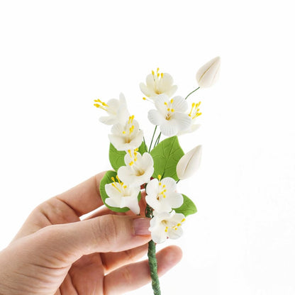 White Cherry Blossoms with Leaves Spray