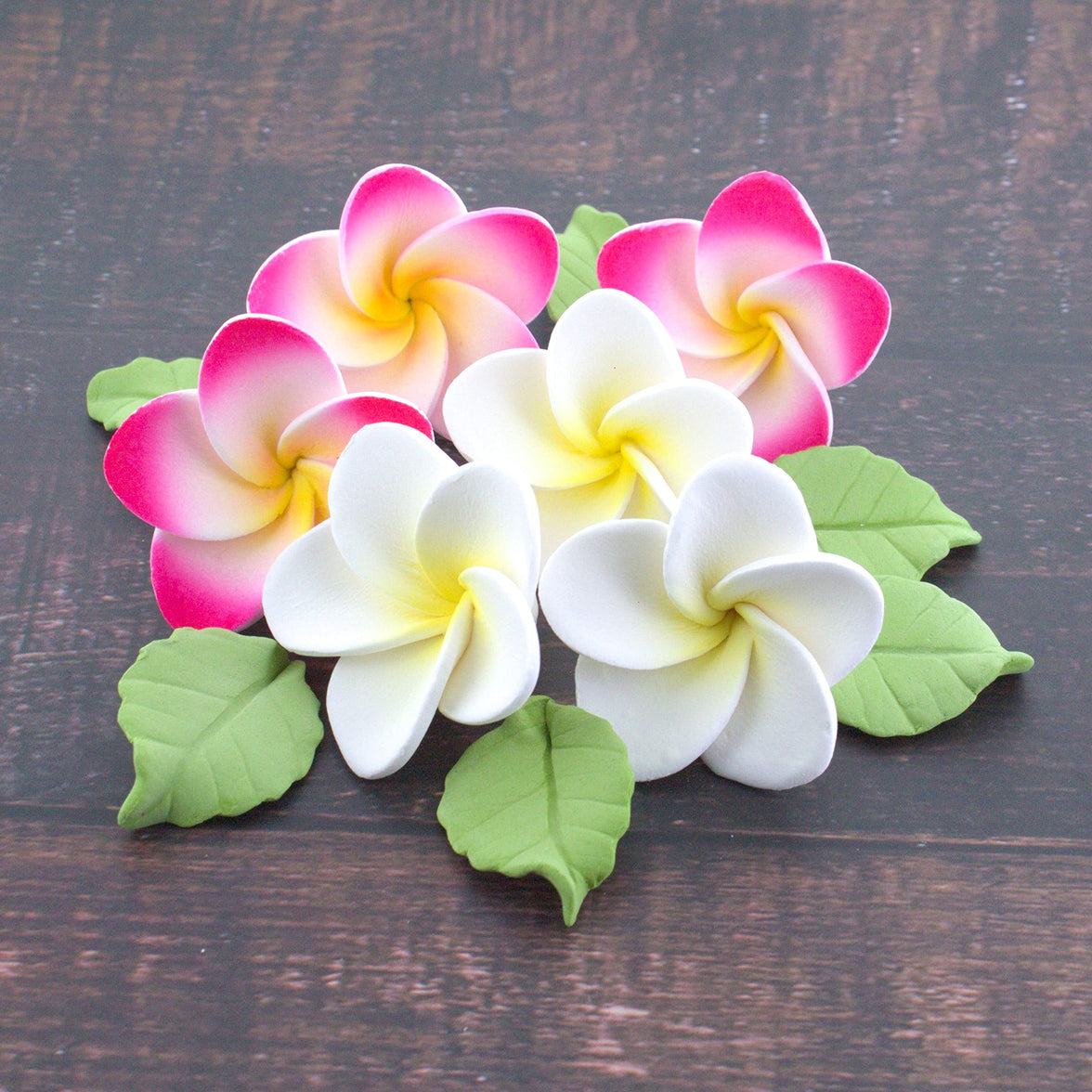 Frangipani with Leaves Gum Paste Cake Flowers 24 Count Sugar Flowers by Global Sugar Art