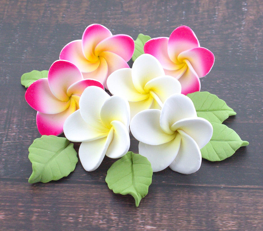 Frangipani with Leaves Gum Paste Cake Flowers 24 Count Sugar Flowers by Global Sugar Art