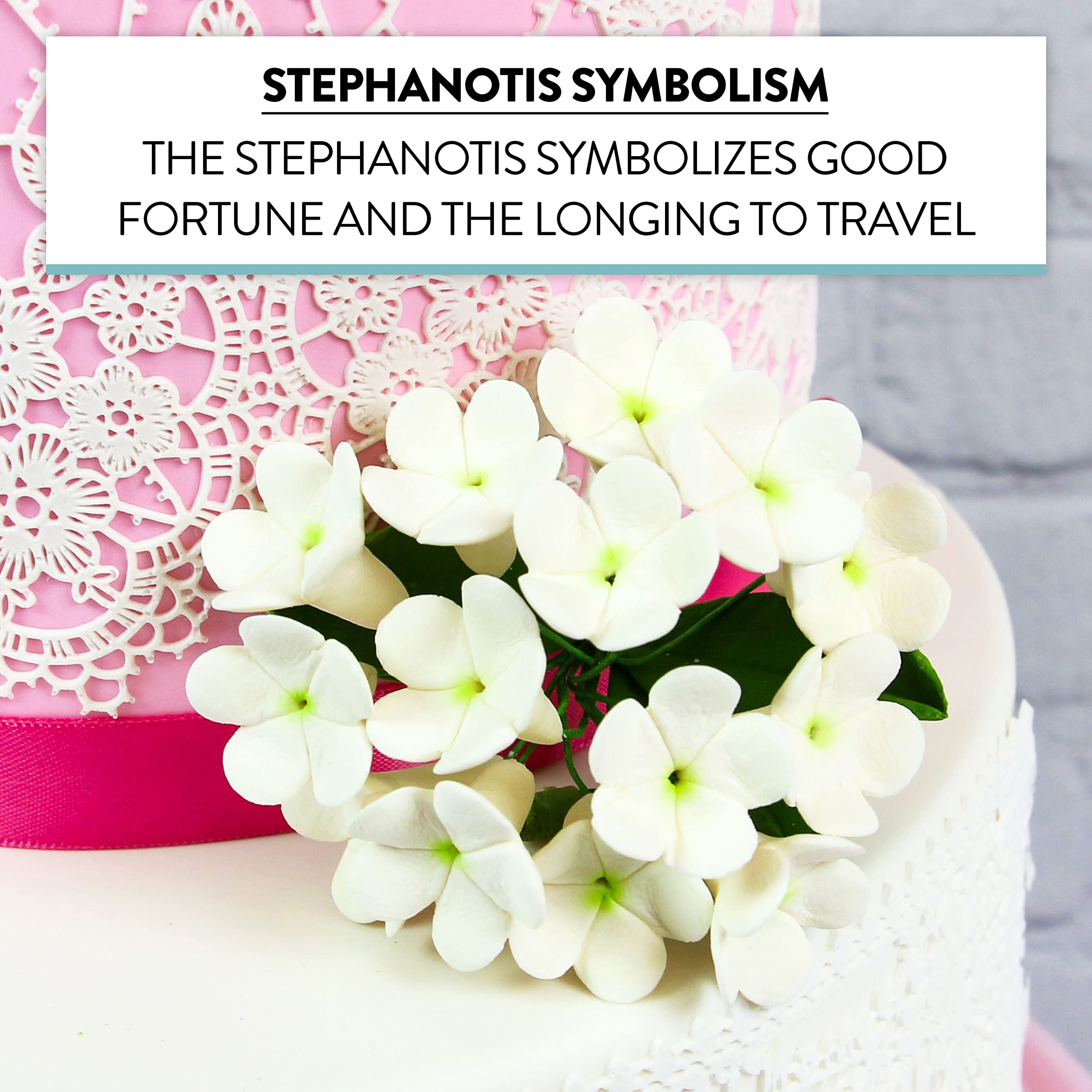 Stephanotis Spray Sugar Cake Flowers, by Global Sugar Art, White