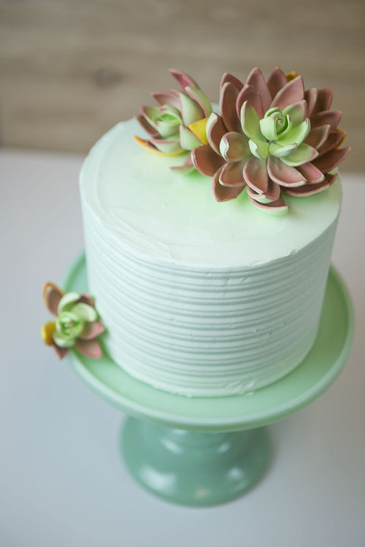 Lipstick Succulent, Assorted Sizes, 3 Count