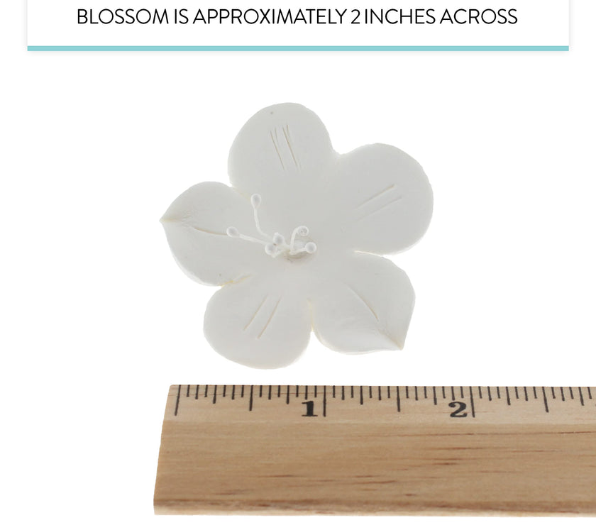 Global Sugar Art Fruit Blossom Sugar Cake Flowers by Chef Alan Tetreault