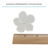 Global Sugar Art Fruit Blossom Sugar Cake Flowers by Chef Alan Tetreault