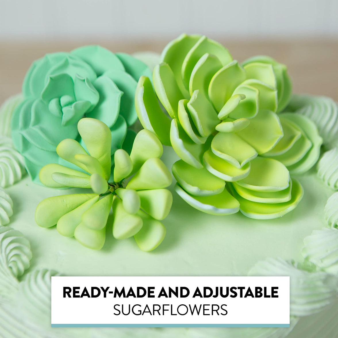 Global Sugar Art Succulent Vibrant Mixed Assortment Sugar Cake Flowers, 3 Count by Chef Alan Tetreault