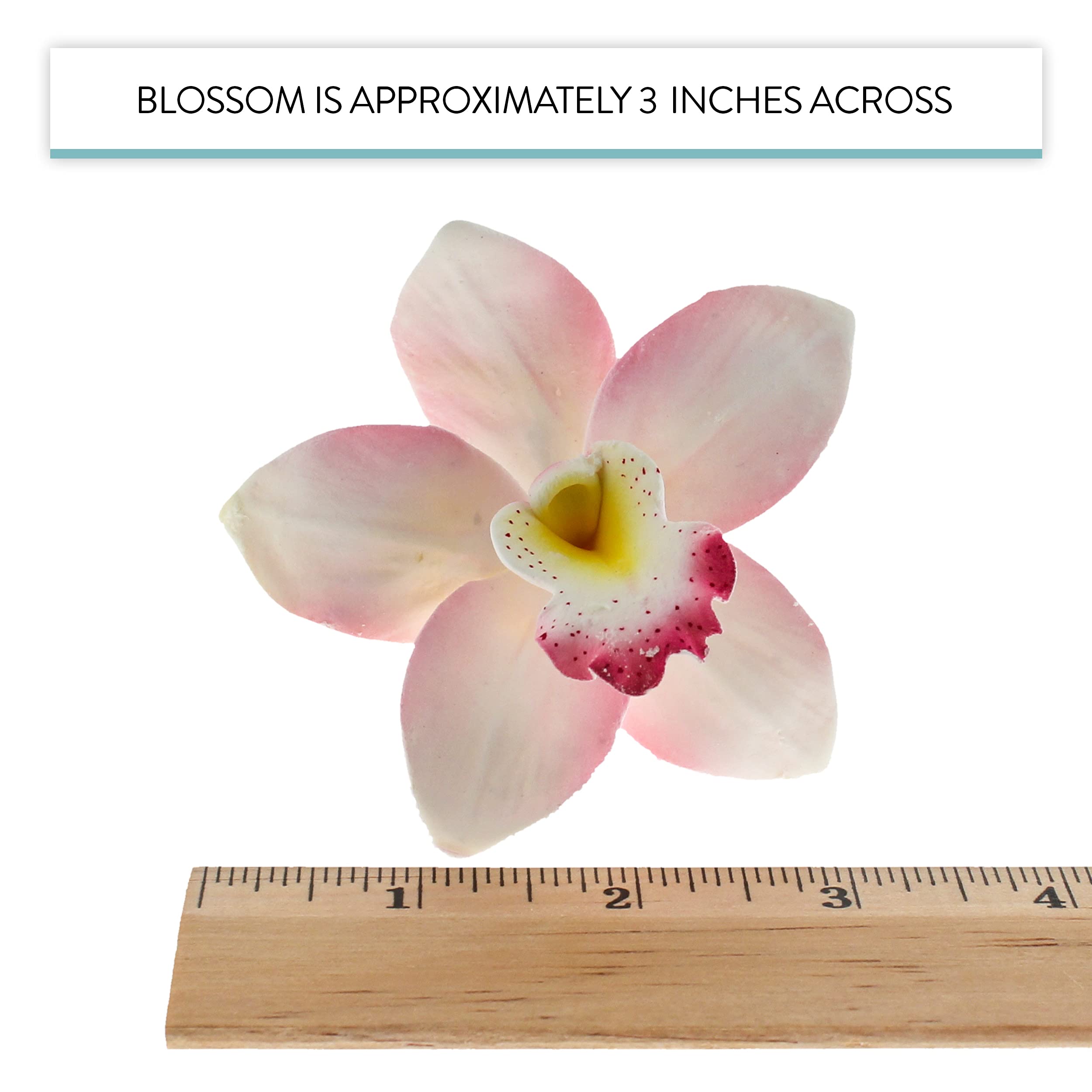 Orchid Sugar Cake Flowers, Cymbidium Orchids, by Global Sugar Art, Pink, 3 Count