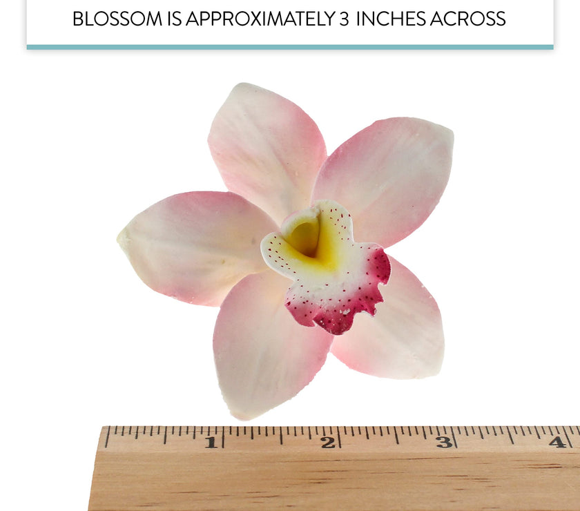 Orchid Sugar Cake Flowers, Cymbidium Orchids, by Global Sugar Art, Pink, 3 Count