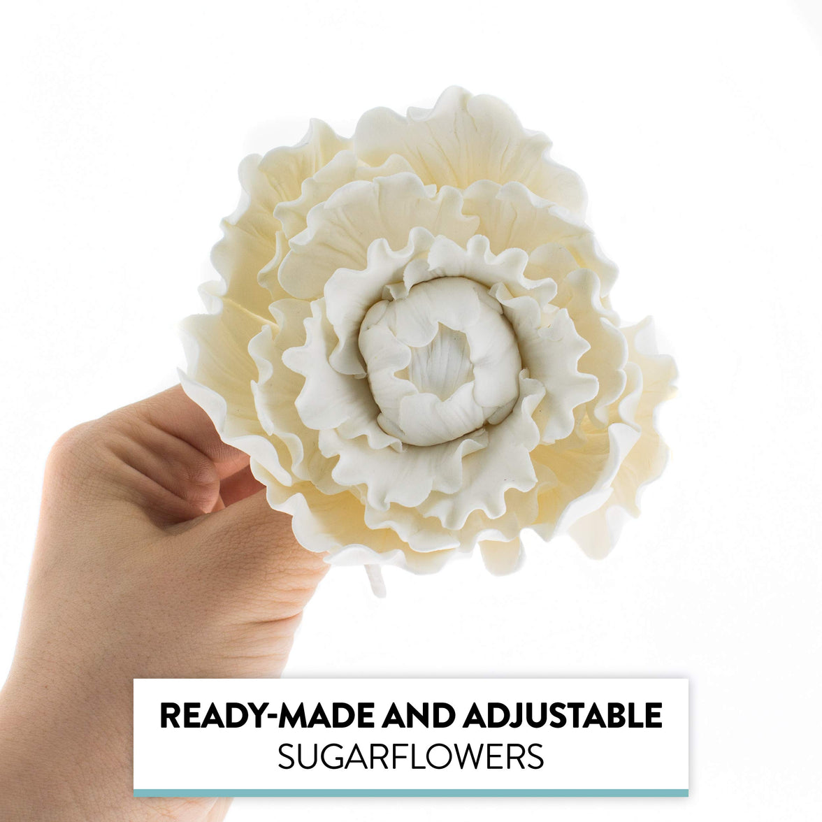Premium Peony Sugar Flower by Global Sugar Art, White