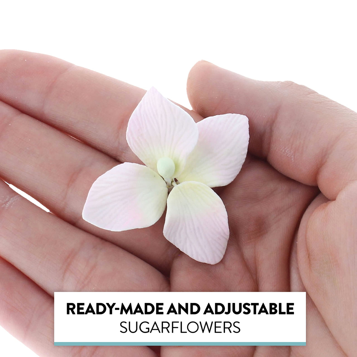 Hydrangea Blossoms, Flat Sugar Flowers by Global Sugar Art, 24 Count Pink