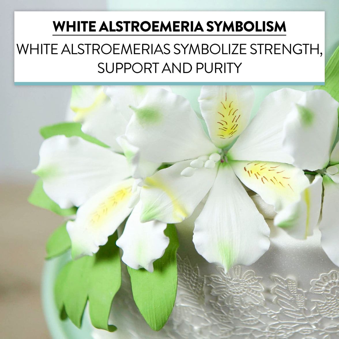 Global Sugar Art White Alstroemeria Sugar Cake Flowers by Chef Alan Tetreault, 3 Count