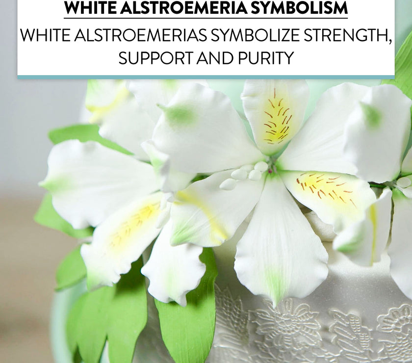 Global Sugar Art White Alstroemeria Sugar Cake Flowers by Chef Alan Tetreault, 3 Count