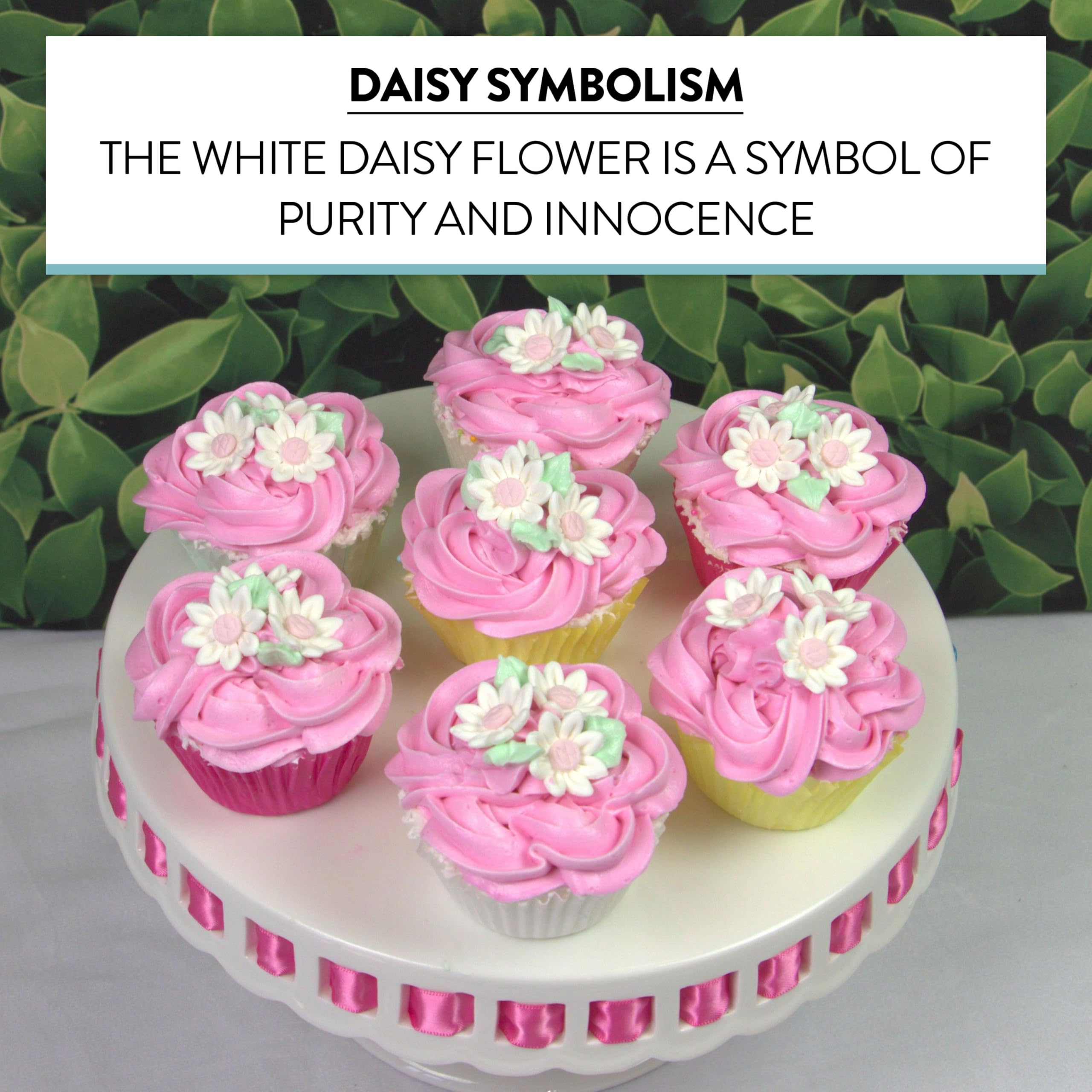 Edible Daisy Cake Decorations, White and Pink Sugar Flowers, Unwired 3/4 Inch, Daisy Cupcake Toppers, Edible Flowers Cake Decorations by Chef Alan Tetreault, Global Sugar Art