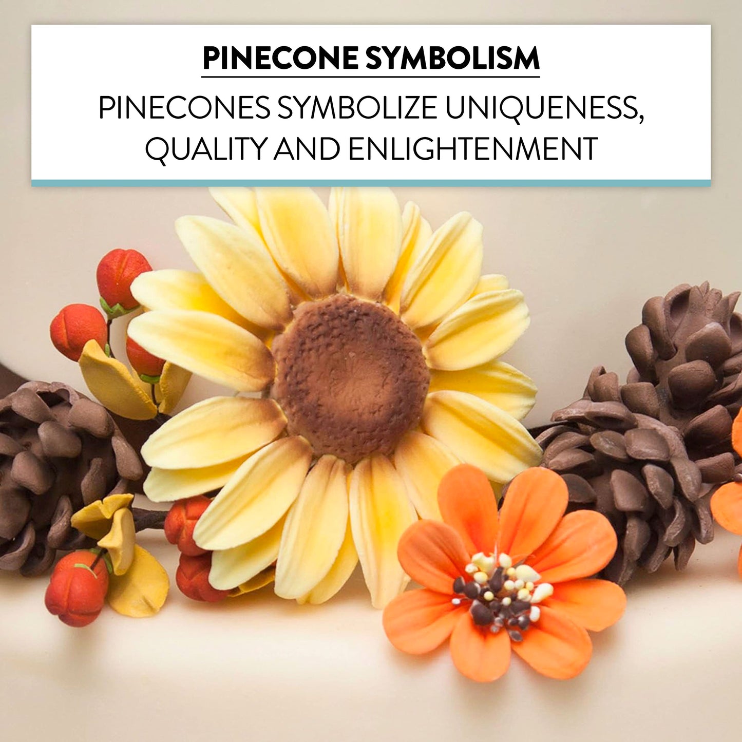 Pinecone, Assorted Sizes, 5 Count