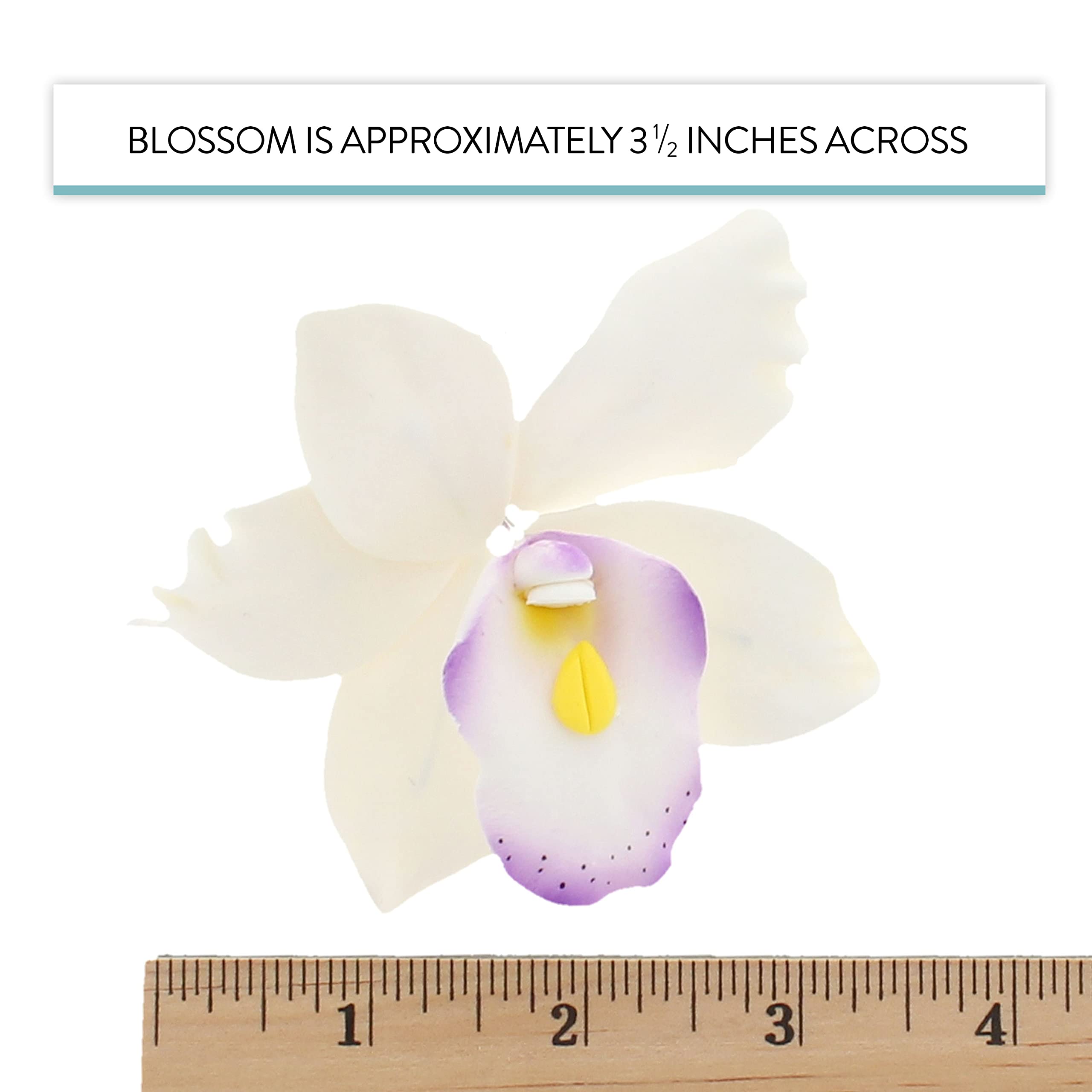 Orchid Sugar Cake Flowers, Pearly Orchids, by Global Sugar Art, Large, White with Purple, 4 Count