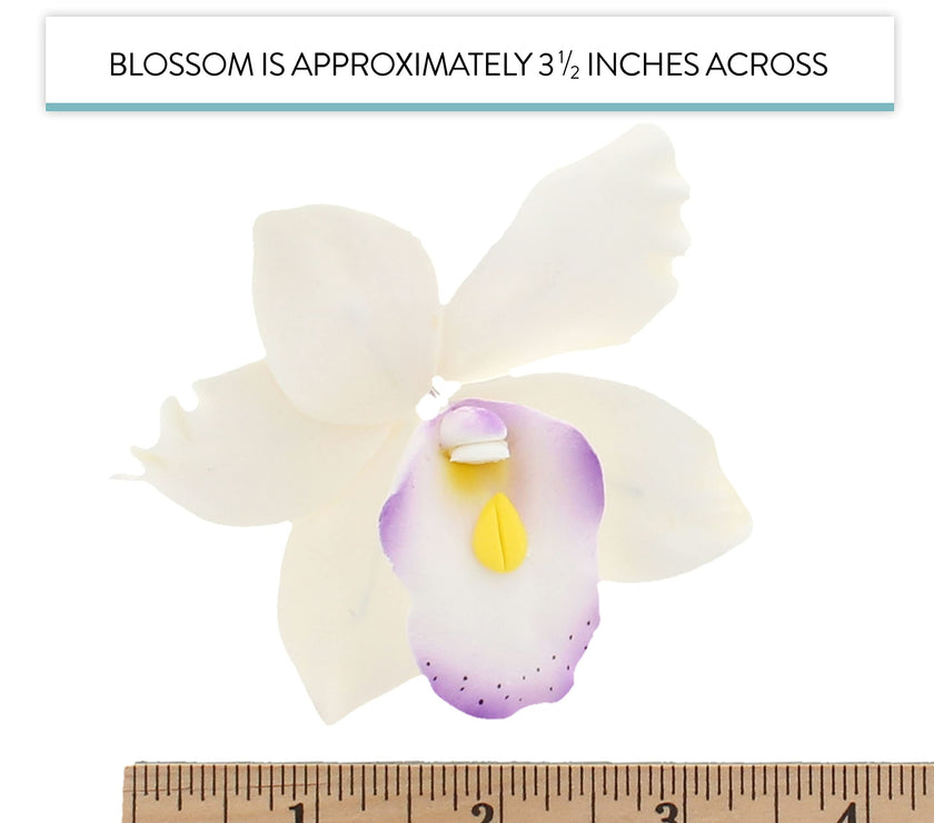 Orchid Sugar Cake Flowers, Pearly Orchids, by Global Sugar Art, Large, White with Purple, 4 Count