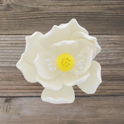 White Lotus Blossom, Jumbo Bloom