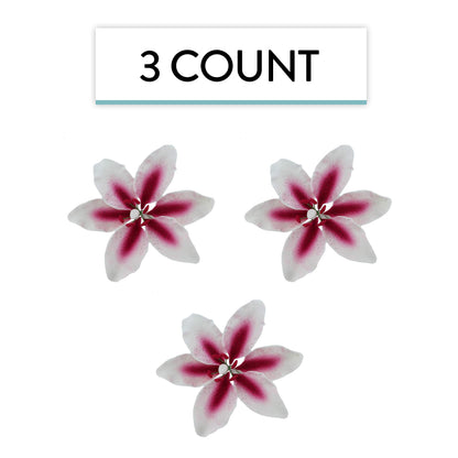 Pink and White Stargazer Lily, 3 Count