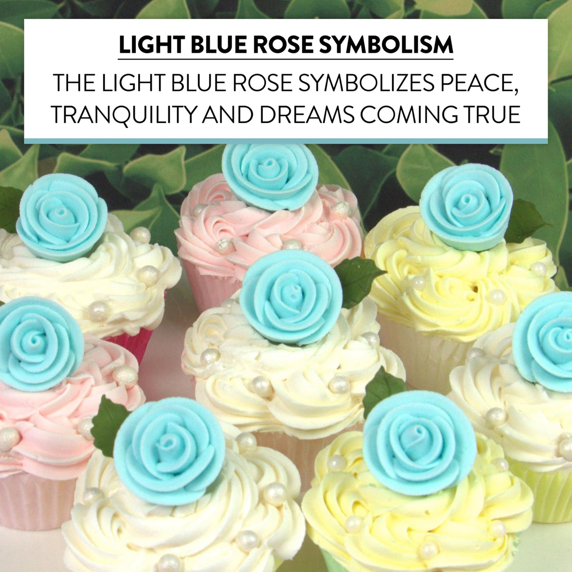 Premium Edible Roses for Cakes and Cupcakes, Sweet Royal Icing Roses, by Global Sugar Art, Light Blue