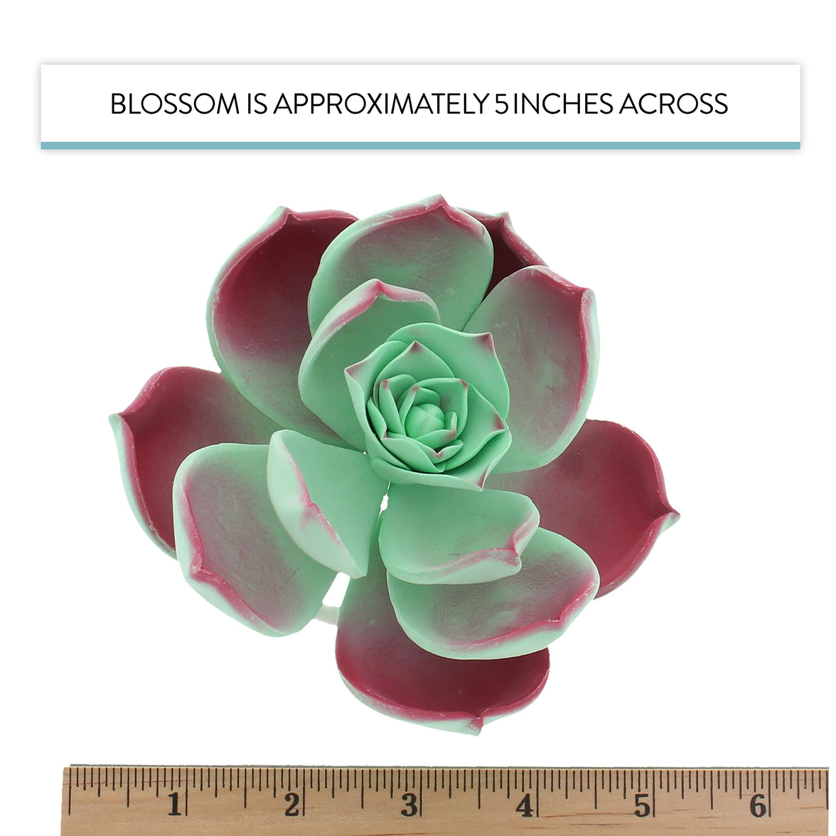 Global Sugar Art Succulent Taurus Large Sugar Cake Flowers with Wire, 1 Count by Chef Alan Tetreault