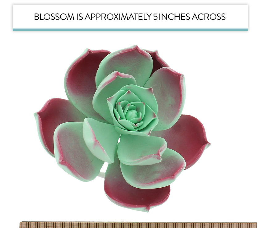 Global Sugar Art Succulent Taurus Large Sugar Cake Flowers with Wire, 1 Count by Chef Alan Tetreault