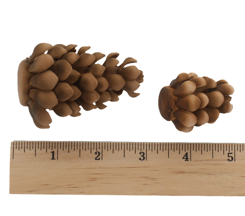 Global Sugar Art Pinecone Assortment Sugar Cake Flowers, 5 Count by Chef Alan Tetreault