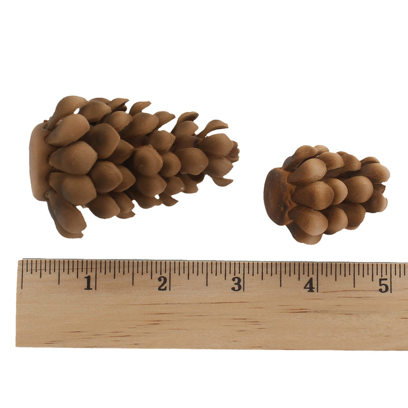 Global Sugar Art Pinecone Assortment Sugar Cake Flowers, 5 Count by Chef Alan Tetreault