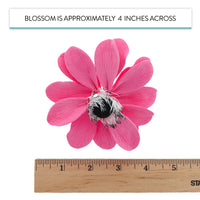 Global Sugar Art Sugar Pink and Black Anemone by Chef Alan Tetreault, 3 Count