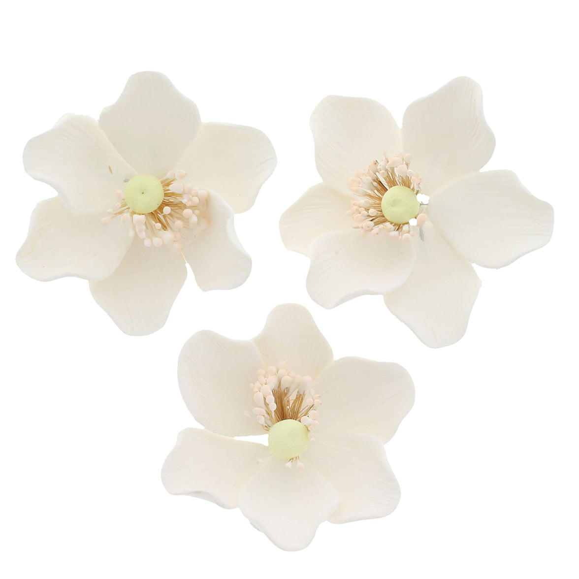 Global Sugar Art Sugar White and Green Anemone by Chef Alan Tetreault, 3 Count