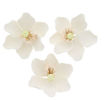 Global Sugar Art Sugar White and Green Anemone by Chef Alan Tetreault, 3 Count