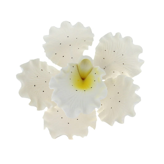 White Speckled Cattleya Orchids, 3 Count