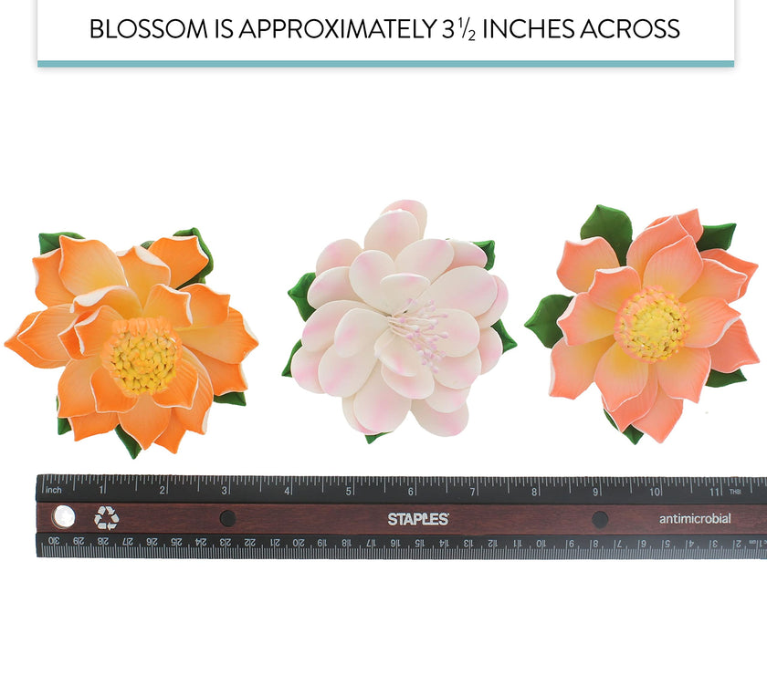 Protea Sugar Cake Flowers by Global Sugar Art, Assortment, 3 Count