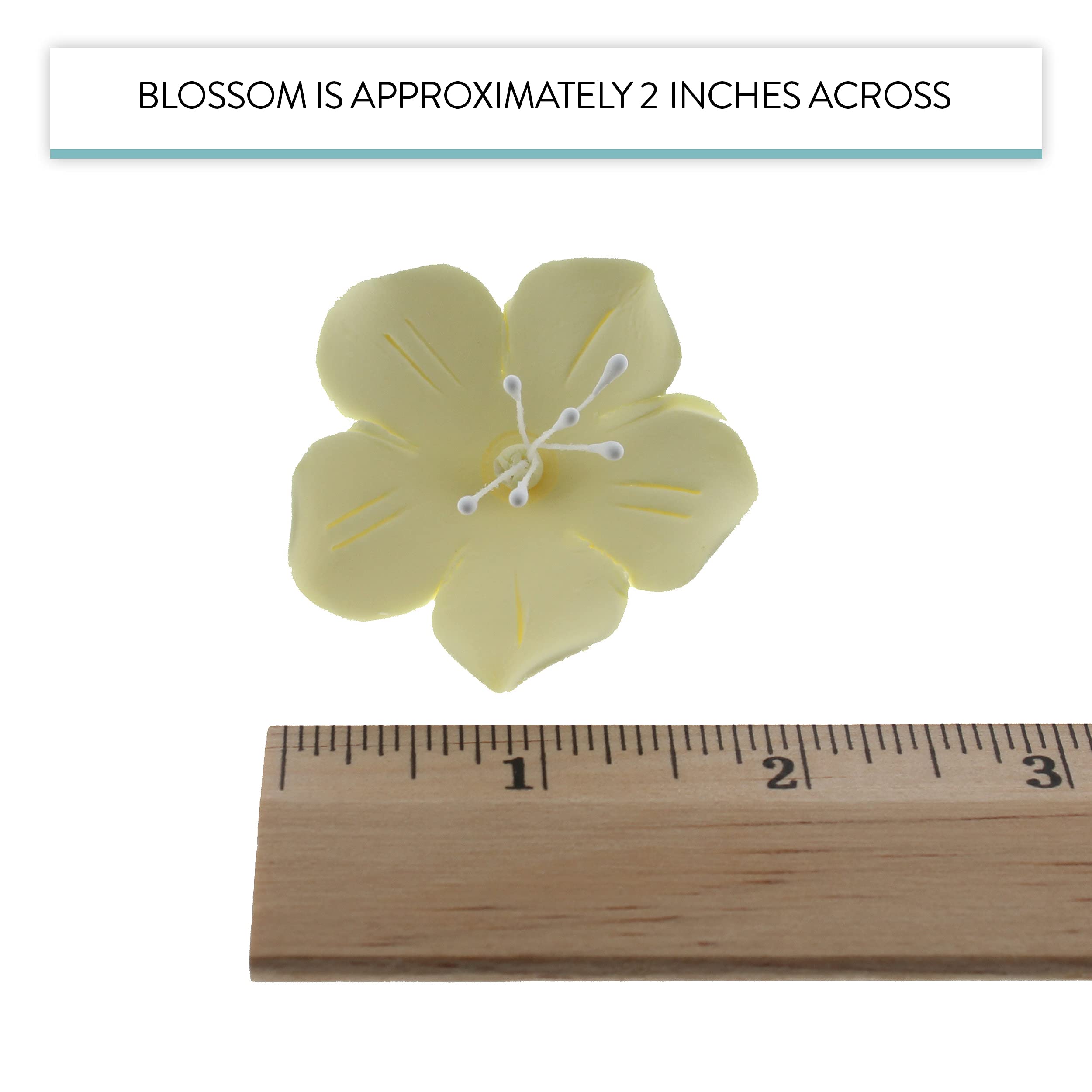 Global Sugar Art Fruit Blossom Sugar Cake Flowers by Chef Alan Tetreault