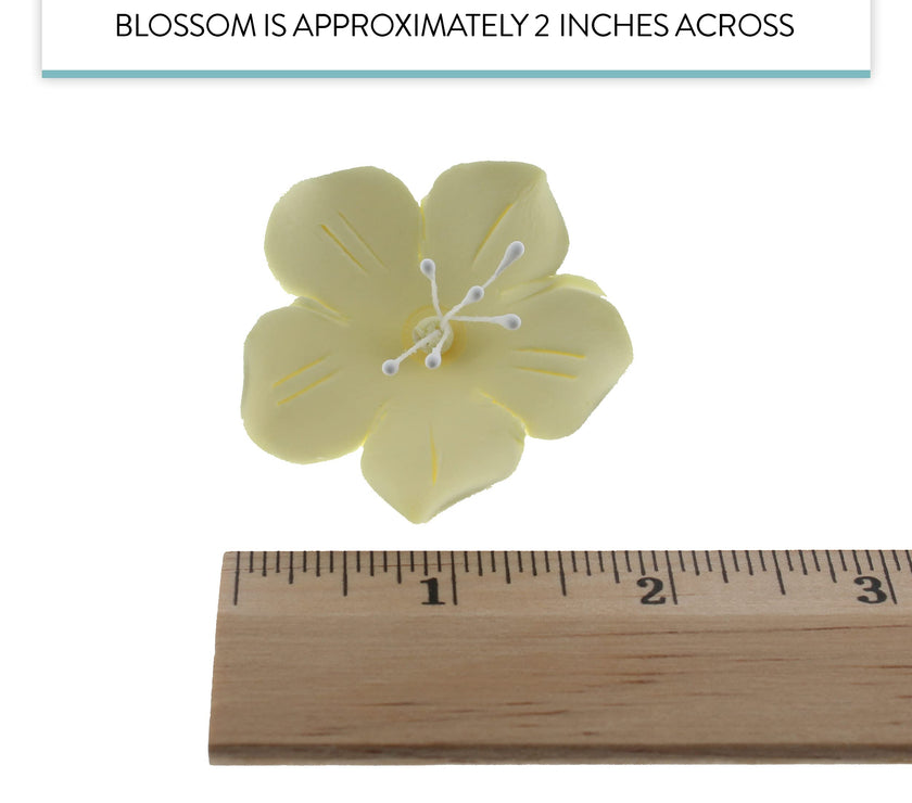 Global Sugar Art Fruit Blossom Sugar Cake Flowers by Chef Alan Tetreault