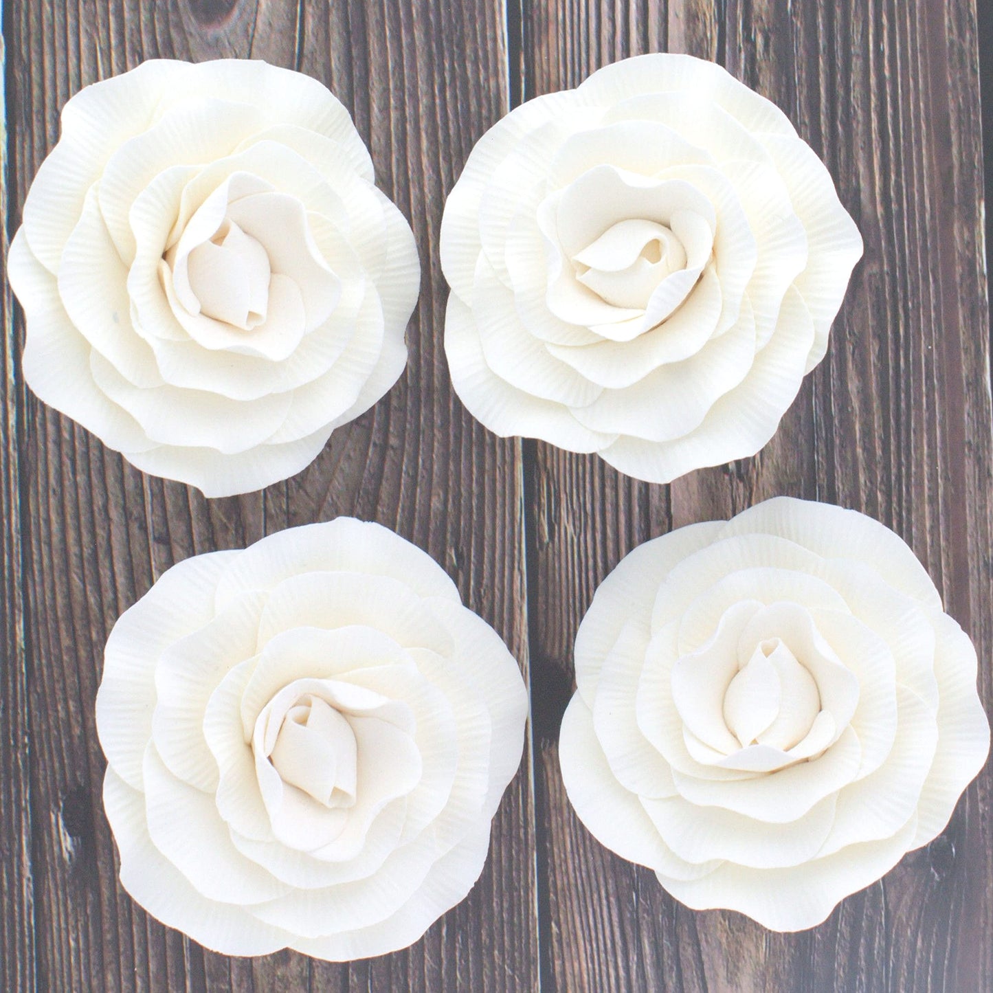 White Peony Rose, 4 Count