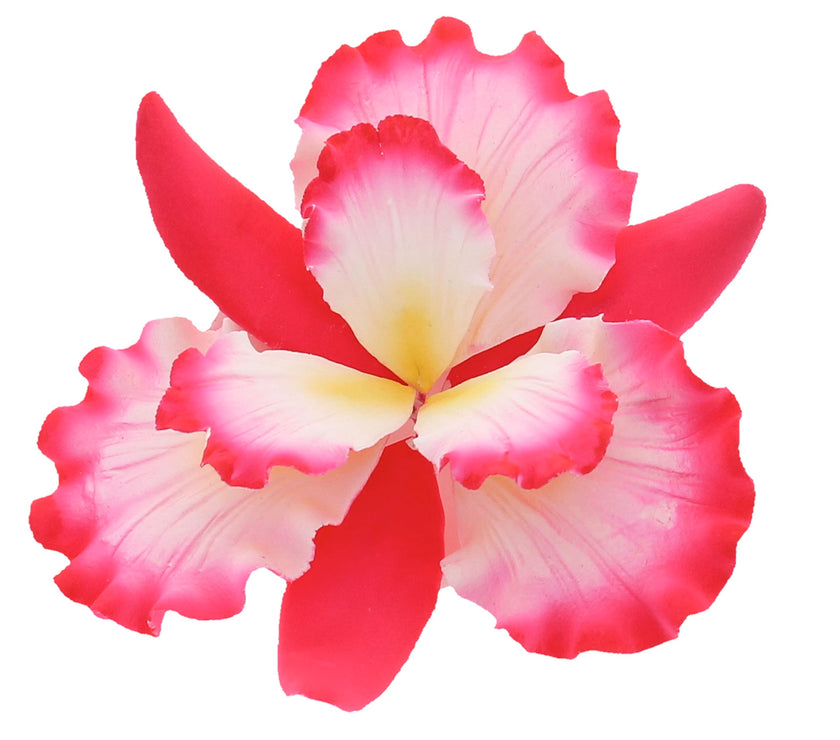 Dutch Iris Sugar Cake Flower, Cake Topper by Global Sugar Art, Pink