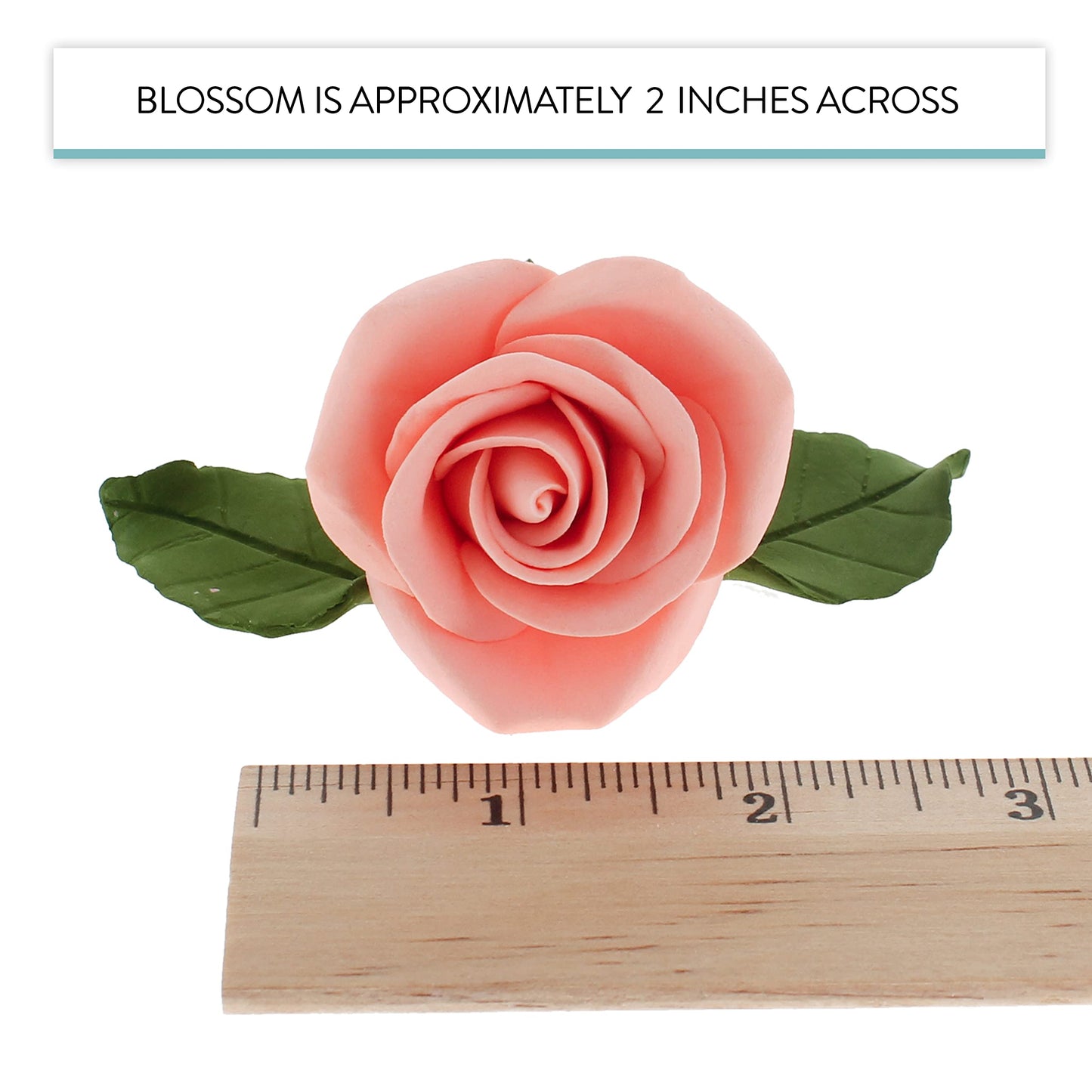 Apricot Peace Rose Kit with Leaves, 2-inch, 14-Piece Set