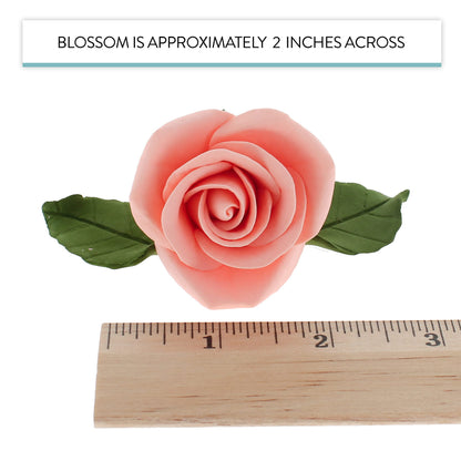 Apricot Peace Rose Kit with Leaves, 2-inch, 14-Piece Set