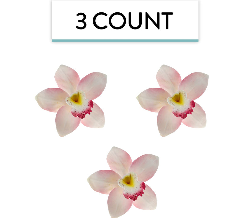 Orchid Sugar Cake Flowers, Cymbidium Orchids, by Global Sugar Art, Pink, 3 Count