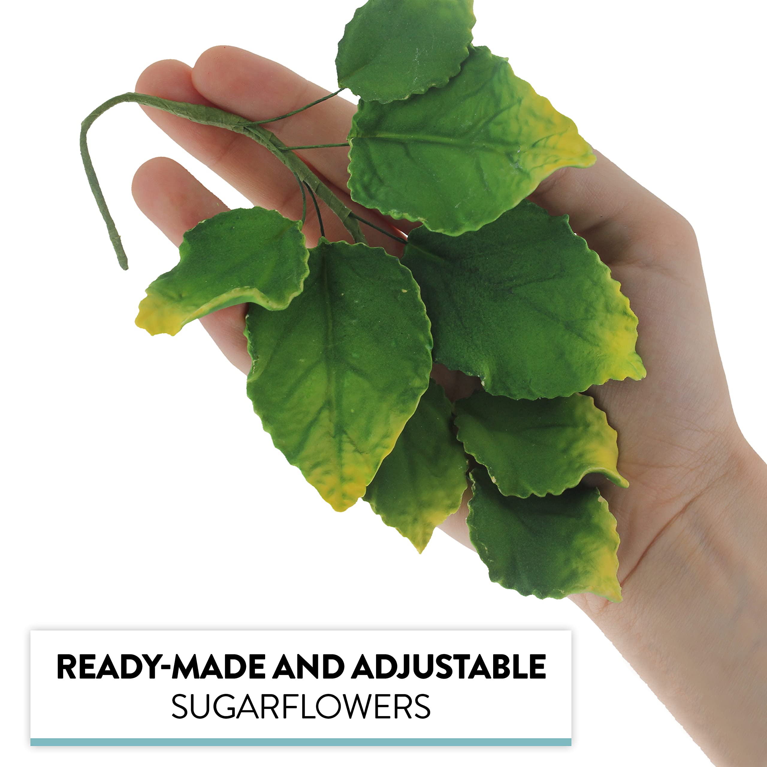 Rose Leaf Spray, Sugar Cake Flower Leaves by Global Sugar Art, Green Faded Tips