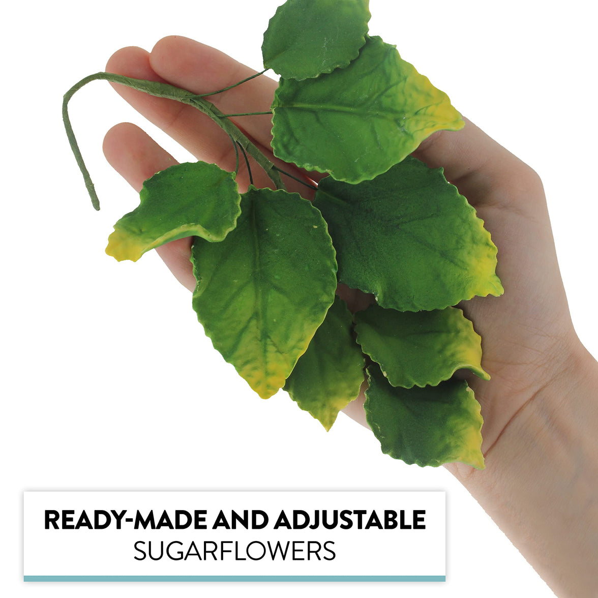 Rose Leaf Spray, Sugar Cake Flower Leaves by Global Sugar Art, Green Faded Tips