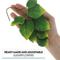 Rose Leaf Spray, Sugar Cake Flower Leaves by Global Sugar Art, Green Faded Tips