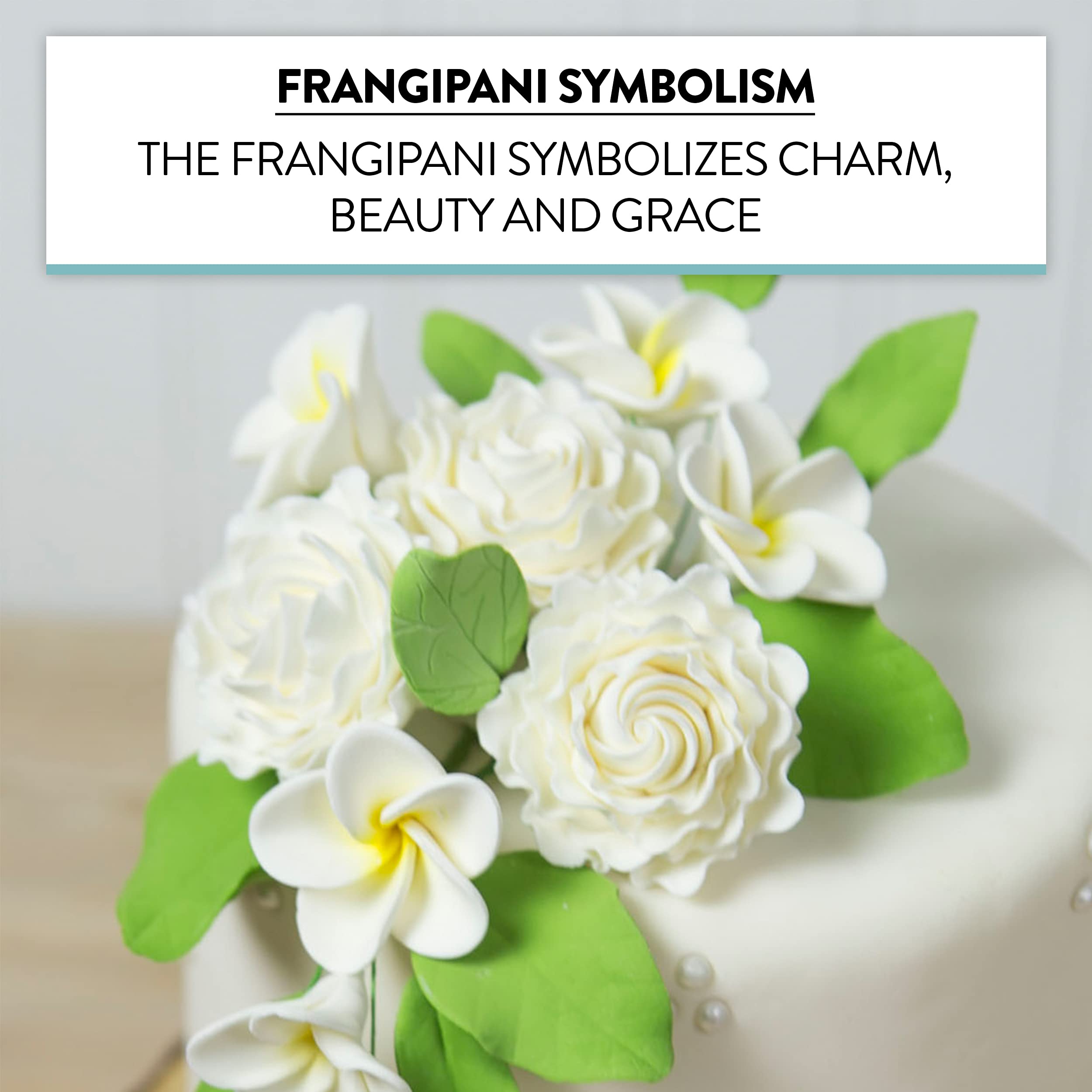 Global Sugar Art Tropical Frangipani Plumeria Sugar Cake Flowers, White 20 Count by Chef Alan Tetreault