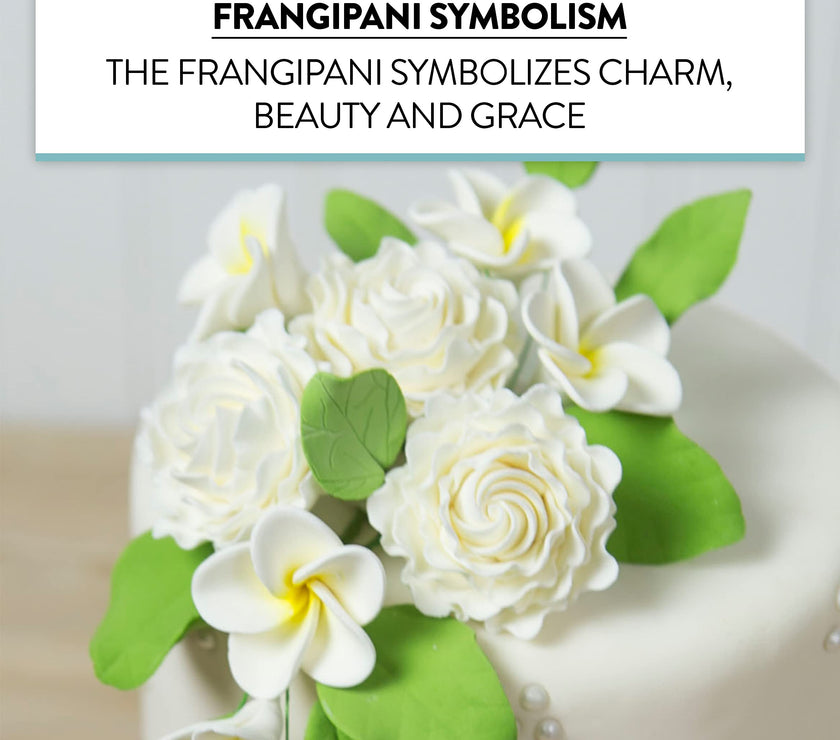 Global Sugar Art Tropical Frangipani Plumeria Sugar Cake Flowers, White 20 Count by Chef Alan Tetreault