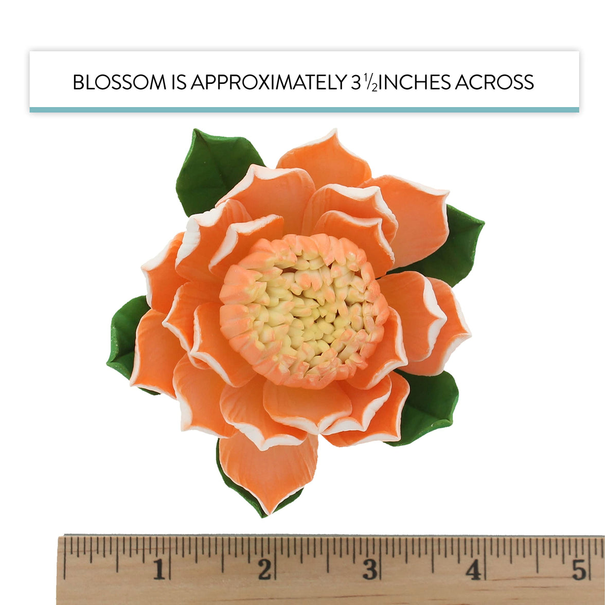 Protea Sugar Cake Flowers by Global Sugar Art, Large Tangerine, 1 Count