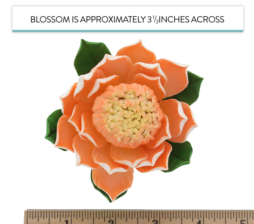 Protea Sugar Cake Flowers by Global Sugar Art, Large Tangerine, 1 Count