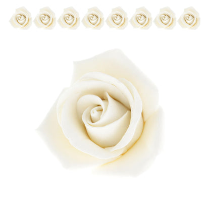 White Peace Rose, 2-inch