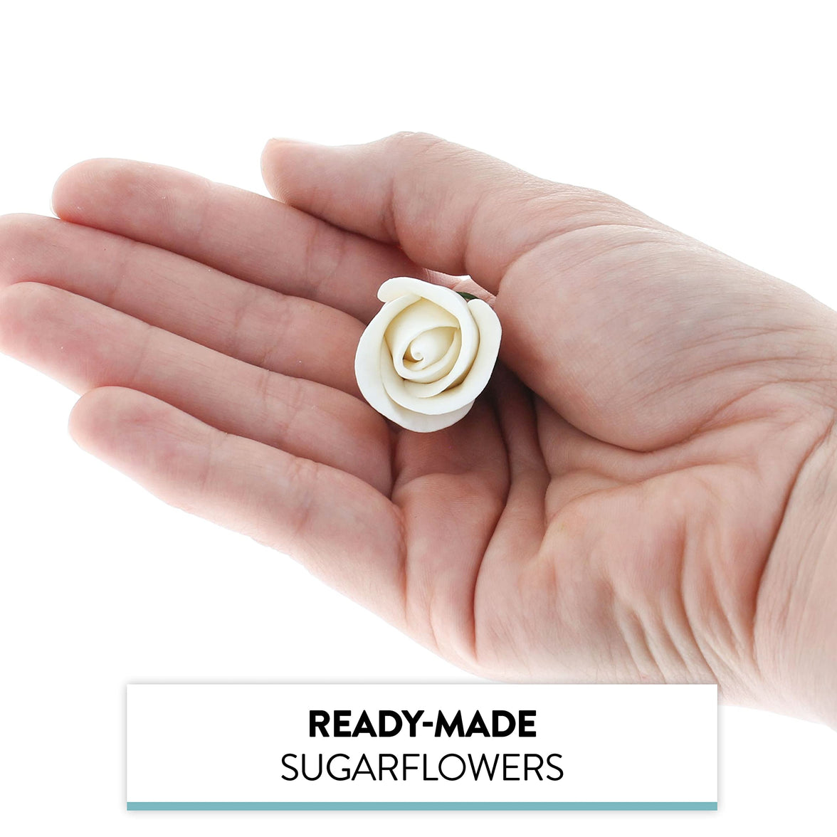 Shrub Rose Sugar Flowers for Cakes, by Global Sugar Art, Small, White