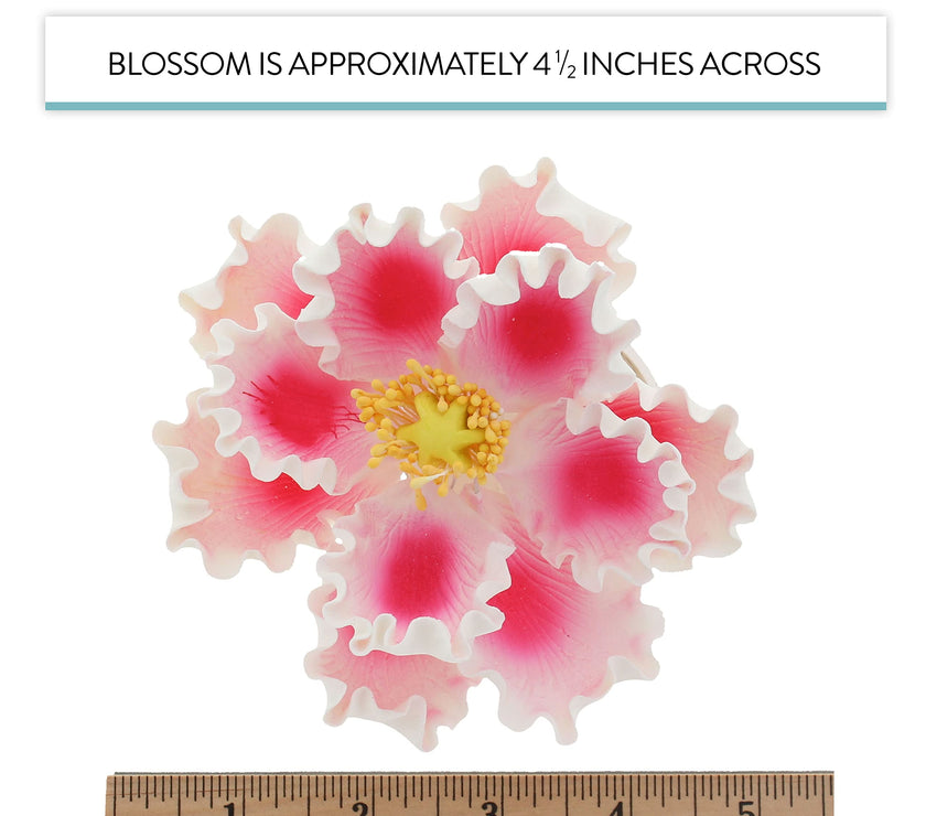 Deluxe Peony Decoration for Cakes, by Global Sugar Art, Pink with White