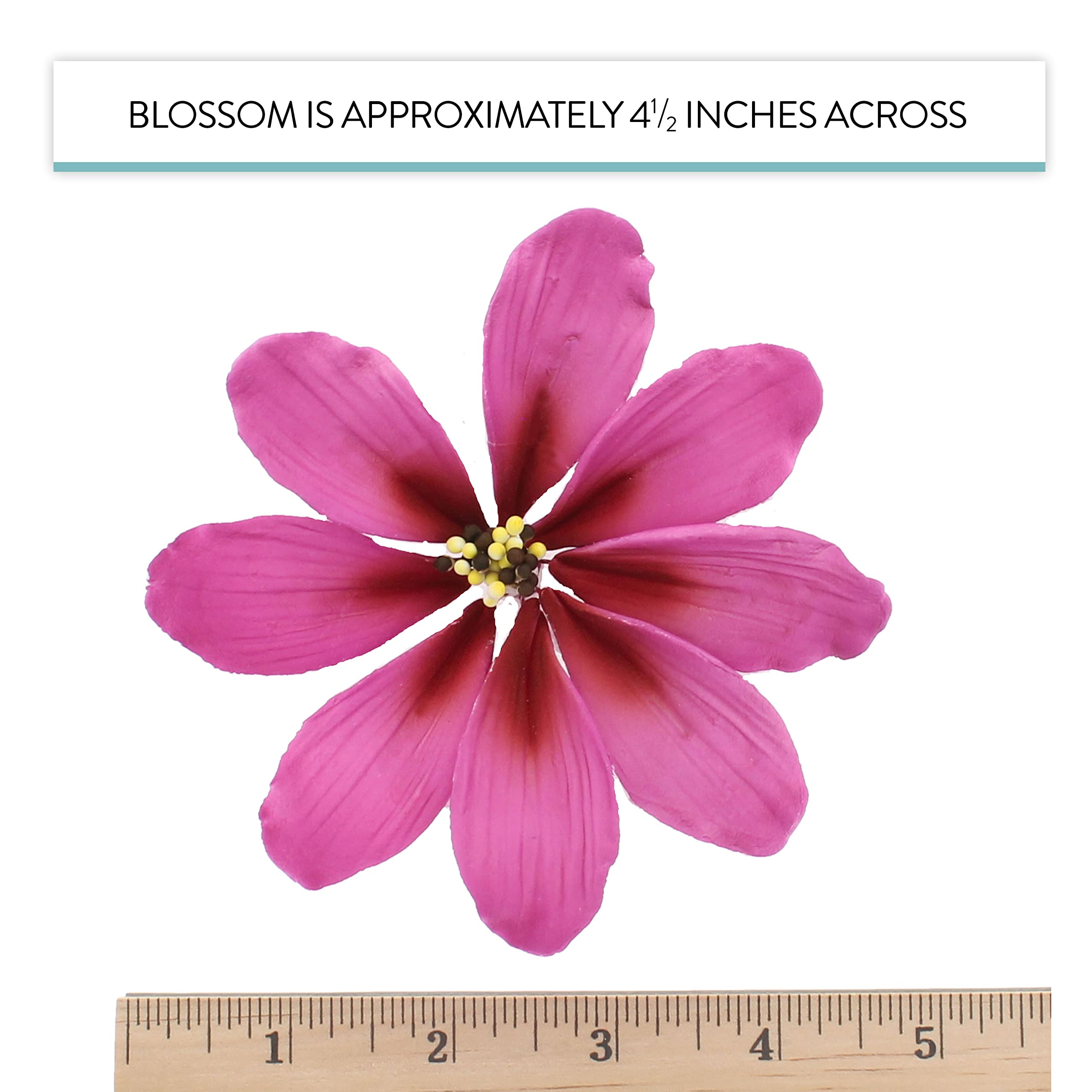 Global Sugar Art Cosmos Sugar Cake Flowers, Pink, Large, 3 Count by Chef Alan Tetreault