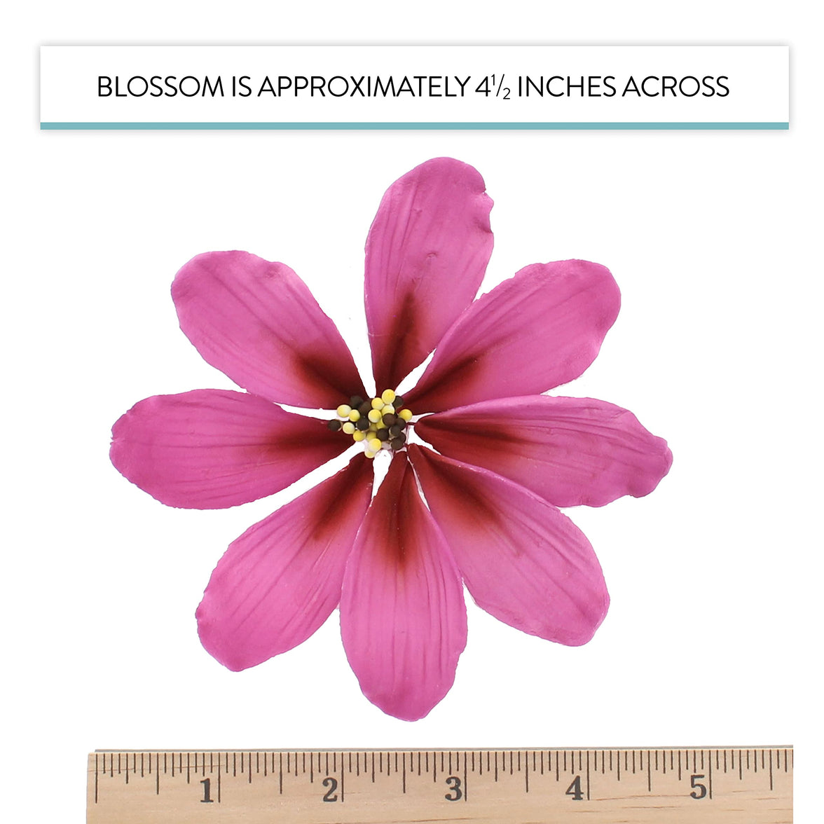 Global Sugar Art Cosmos Sugar Cake Flowers, Pink, Large, 3 Count by Chef Alan Tetreault